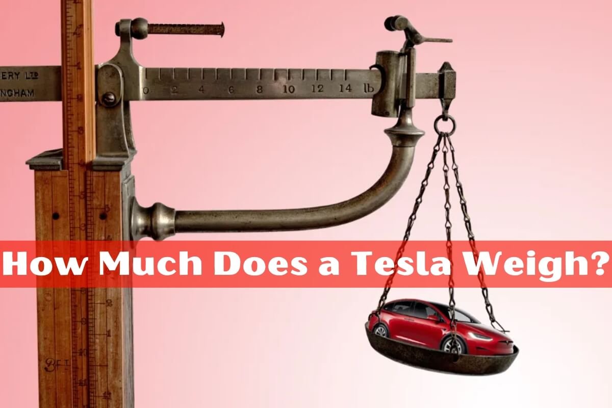 How Much Does a Tesla Weigh?