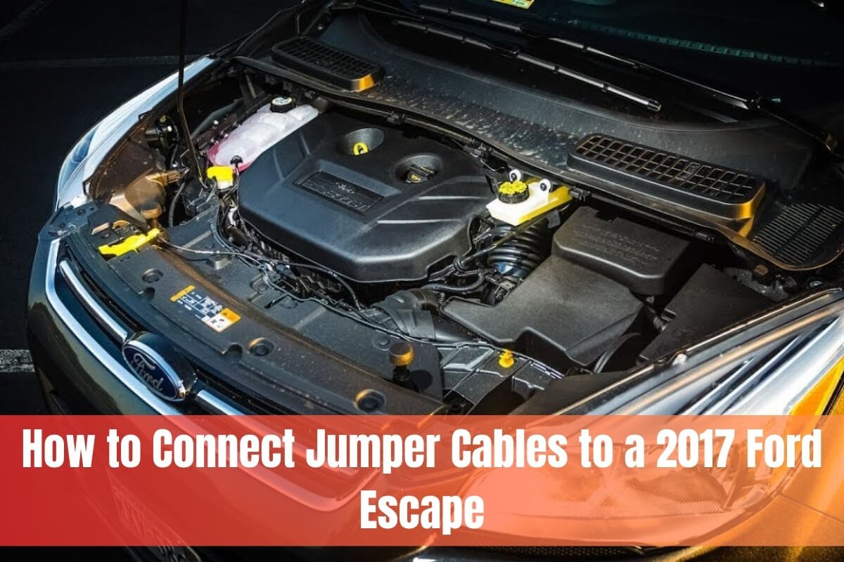 How to Connect Jumper Cables to a 2017 Ford Escape